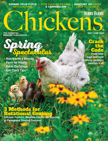 Chickens Print Magazine Subscription